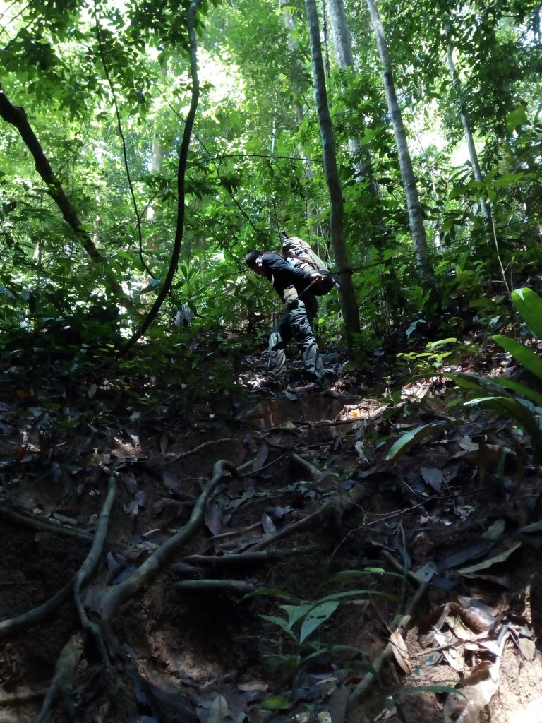 Road Taman Negara ,solo road, climb river, backpacker in jungle, trekking in jungle