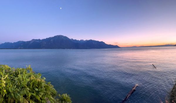 Swiss View